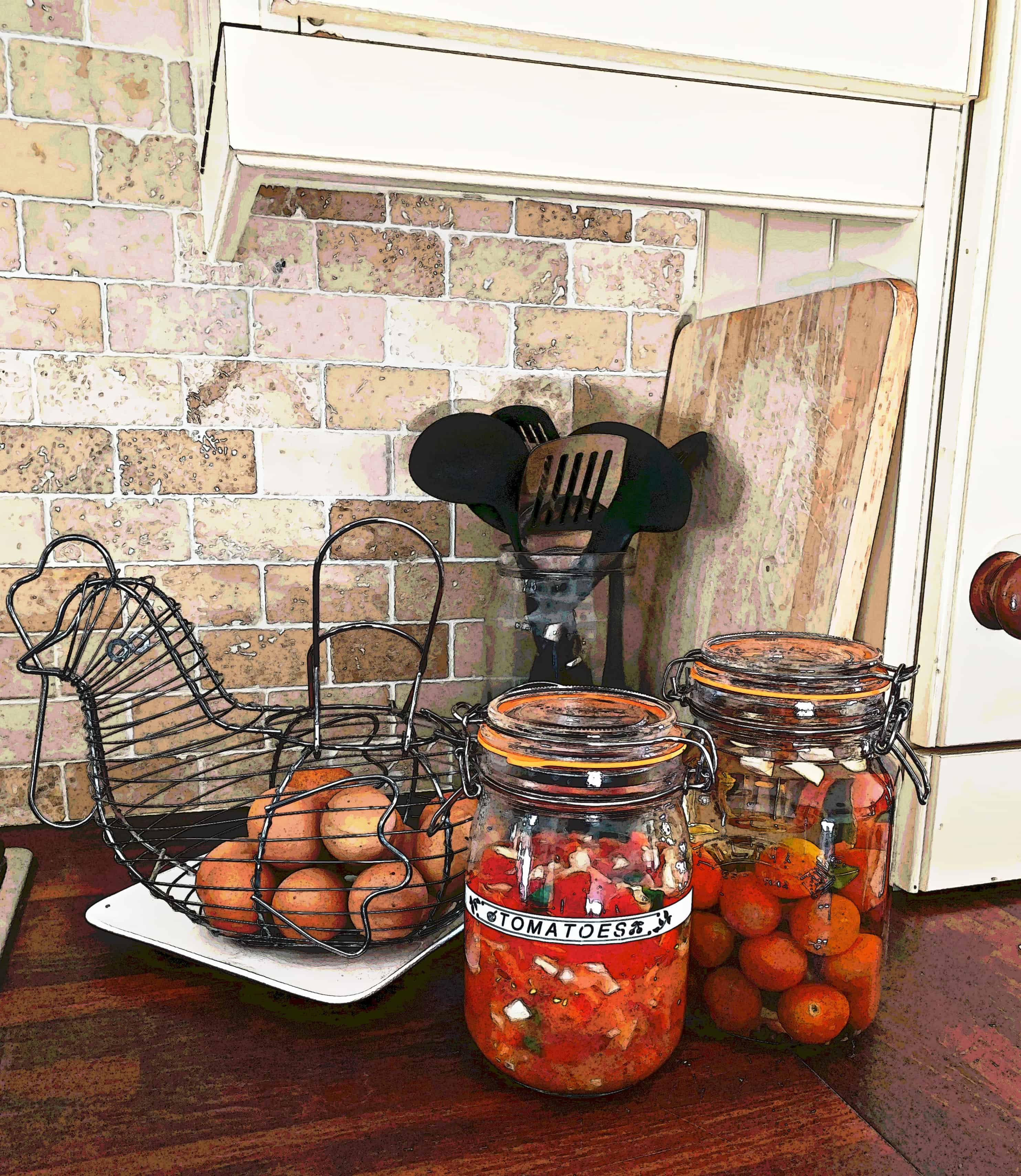FERMENTED TOMATOES AND SALSA RECIPES. Two easy recipes to get you started with fermented foods for gut health. Full recipes here.