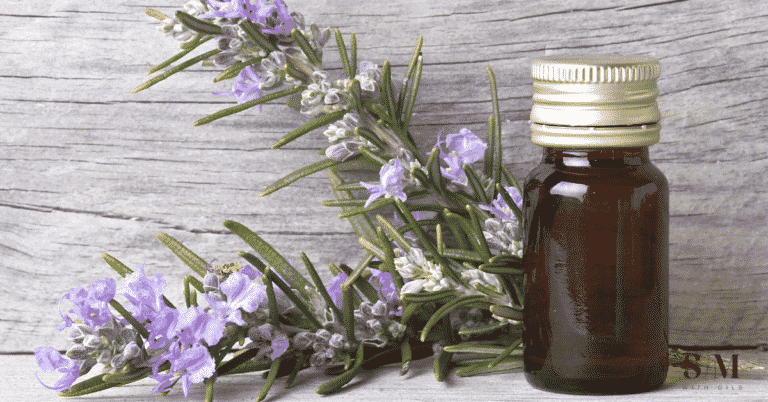 ROSEMARY ESSENTIAL OIL BENEFITS