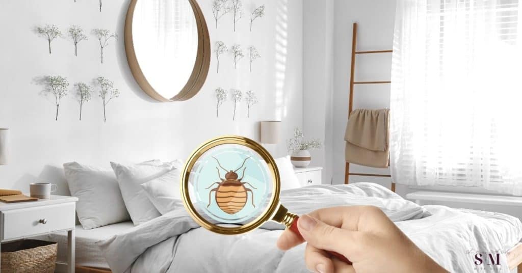 Diatomaceous earth is a natural product that can effectively be used to kill and prevent a bed bug infestation. Read this post to get all the info you need to treat a bed bug infestation fast using this natural product.