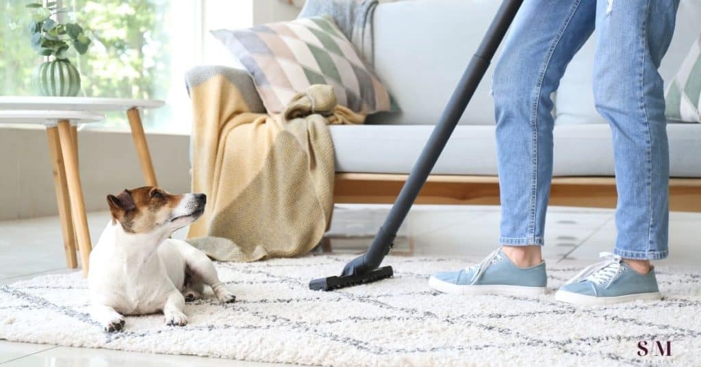 Read the complete step-by-step process to kill fleas in your home environment, fast and effectively and using only natural ingredients.