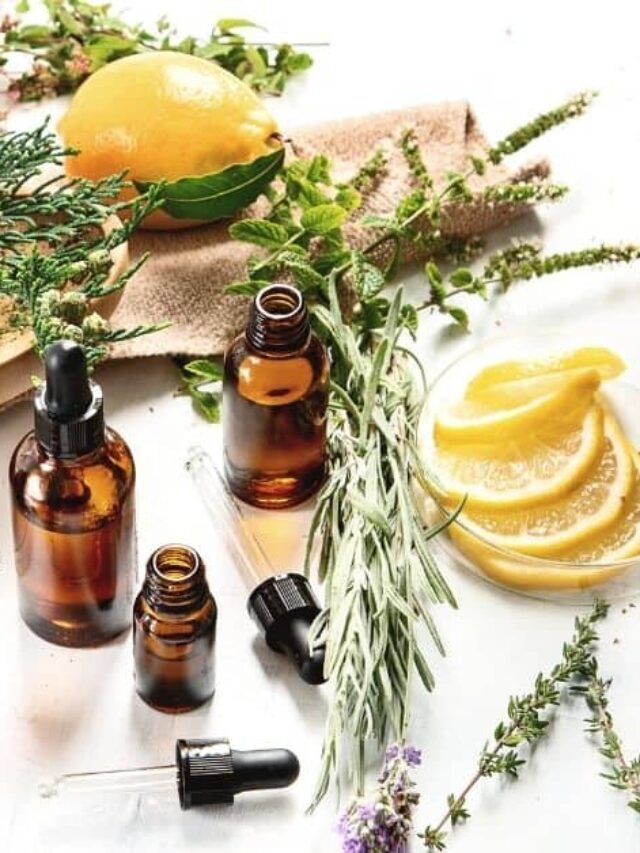 THE BEST ESSENTIAL OILS THAT KILL BED BUGS Story