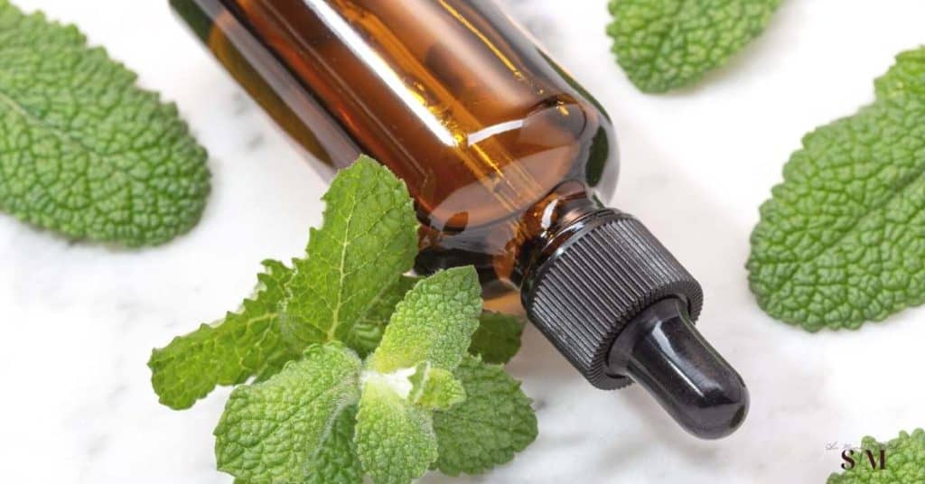THE BEST ESSENTIAL OILS THAT KILL BED BUGS! Learn about the many ways you can use essential oils to get rid of bed bugs naturally and fast! Safer than chemical insecticides!